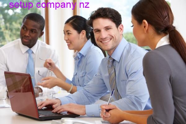 Setup Company New Zealand